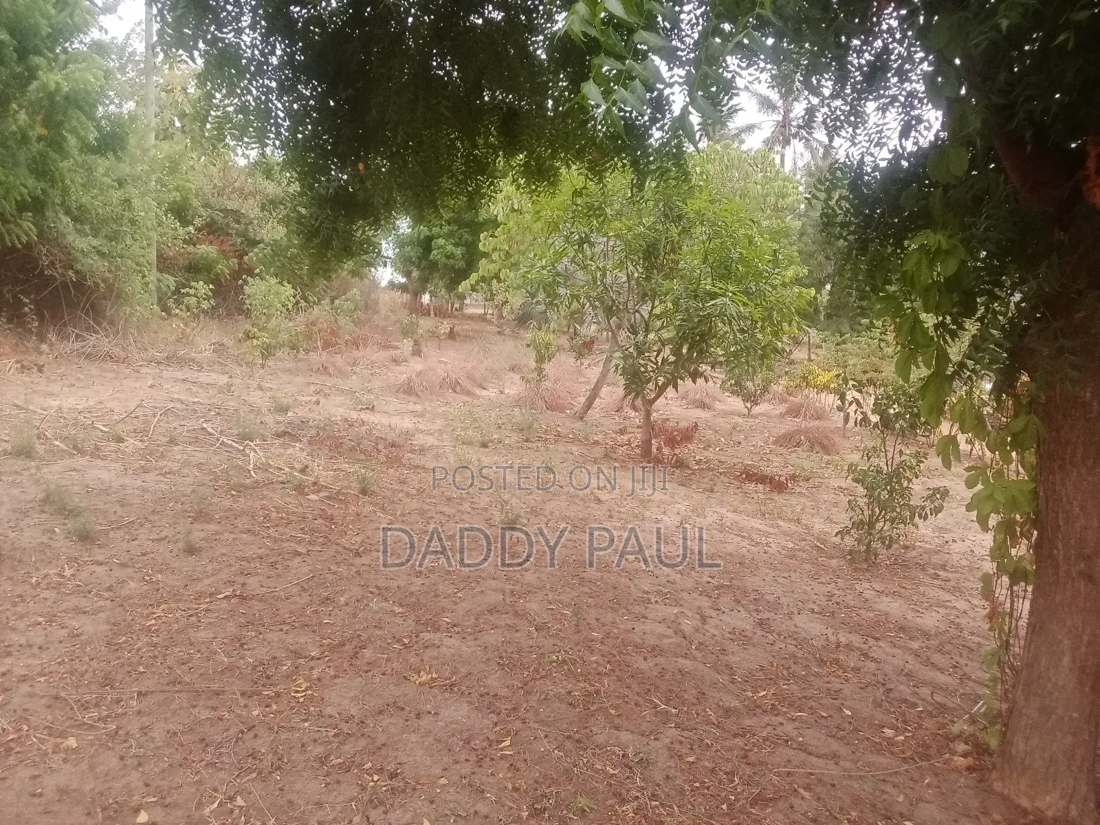 A Plot Facing Street Road for Sale