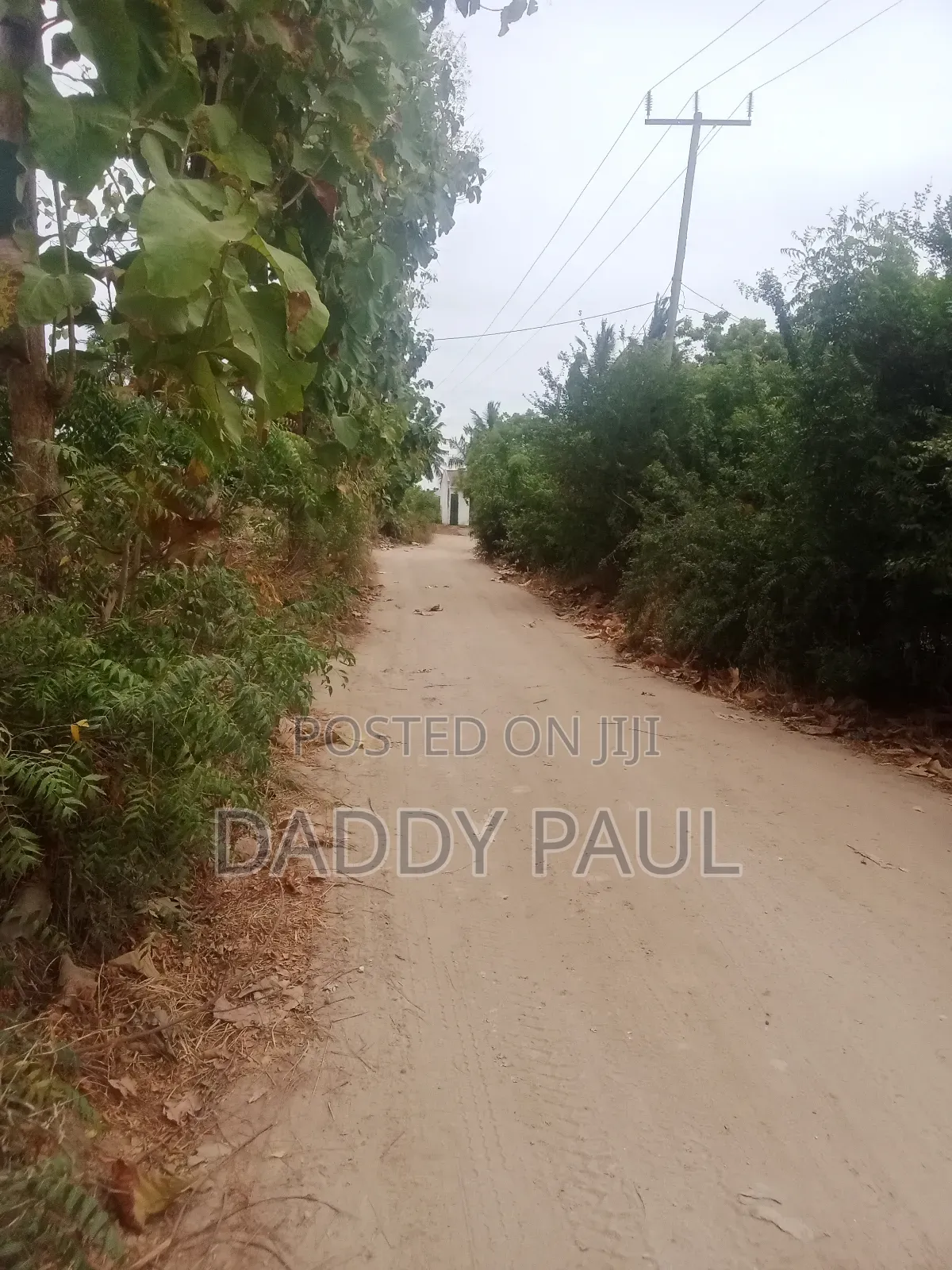 A Plot Facing Street Road for Sale