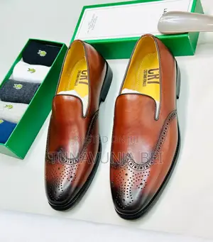 Coffee Lacoste Men Shoes