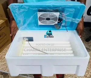 Full Automatic Incubator Machine Ya Kutotolesha Mayai 30