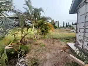 Eneo Linauzwa Tuangoma