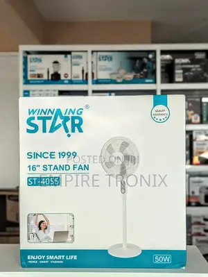 Stand Fan Winning Star St-4055