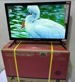 Goodvision 22 Inch Hd Television Double Glass