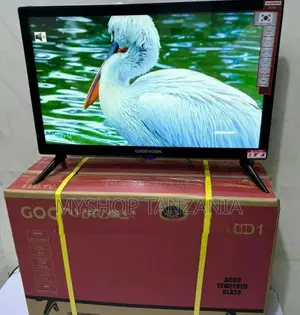 Goodvision 22 Inch Hd Television Double Glass