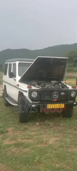 Mercedes-Benz G-Class 1994 White