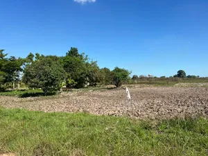Eneo Linauzwa Mkuranga