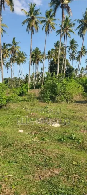 Beach Plot for Sale in Zanzibar Mangapwani