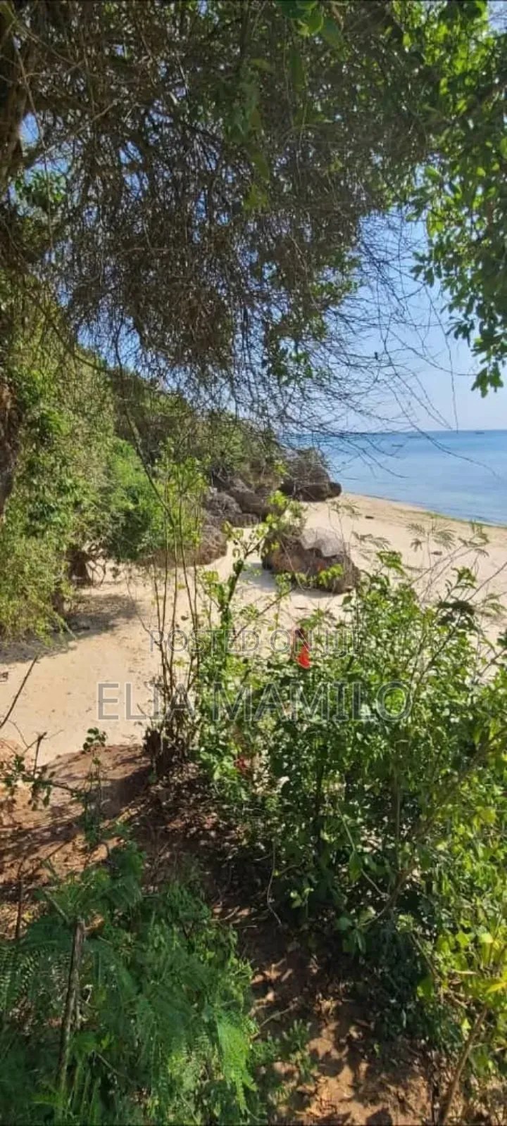 Beach Plot for Sale in Zanzibar Mangapwani