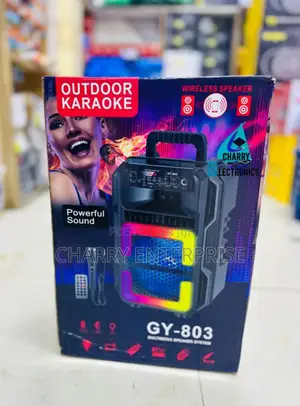 Gy-803 Portable Rechargeable Speaker Wireless Mic Size 8"