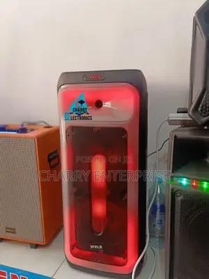 WDRL Portable Rechargeable Speaker With 1wireless Microphone