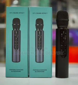KTV Sound Effect Portable Karaoke Microphone