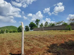 East Africa Kumenoga