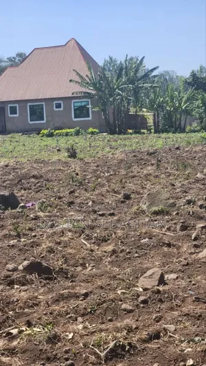 Maji Ya Chai Sokoni Viwanja