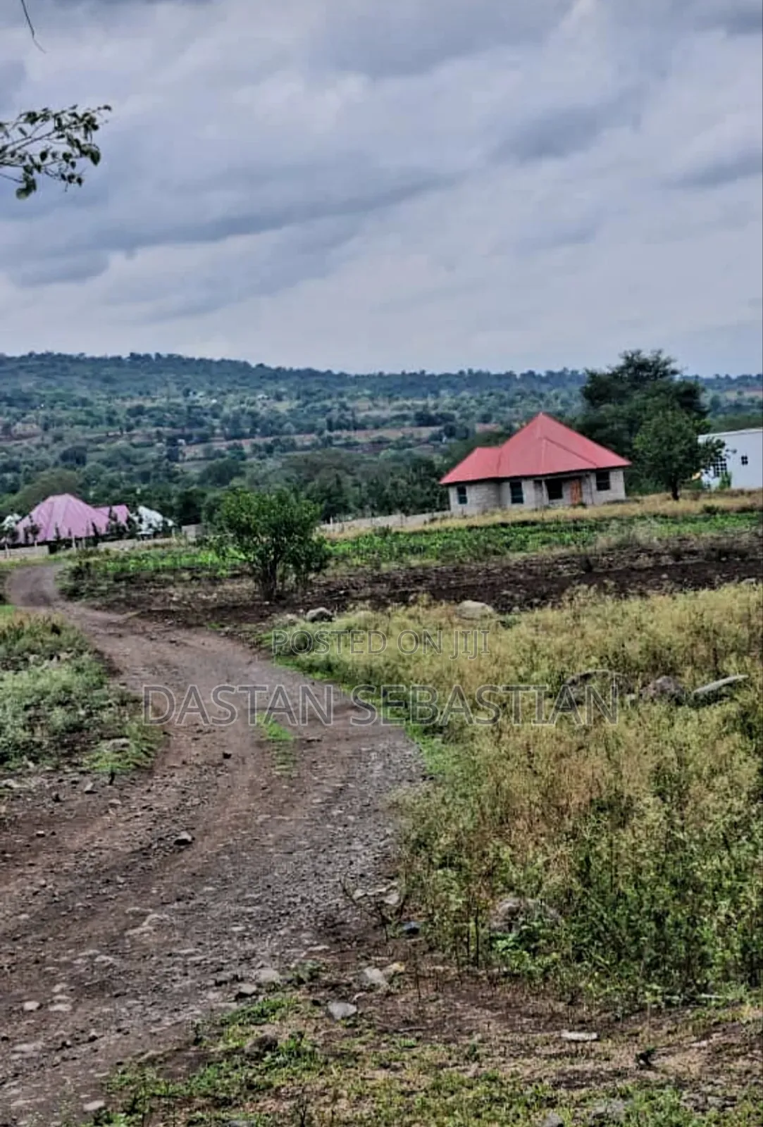 Maji Ya Chai Njia Ya Ng'ombe