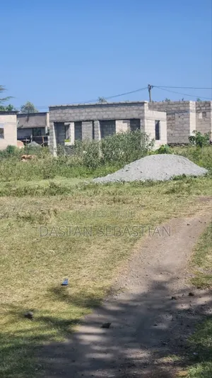 Kisongo Kumenoga