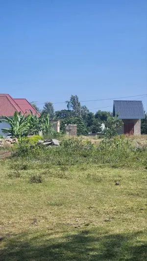 Kisongo Kumenoga