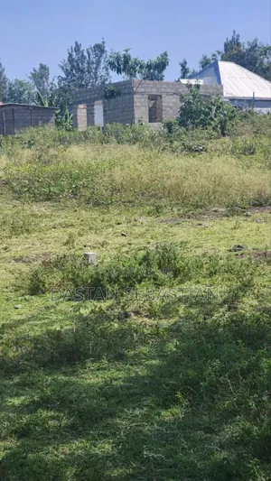 Kisongo Kumenoga