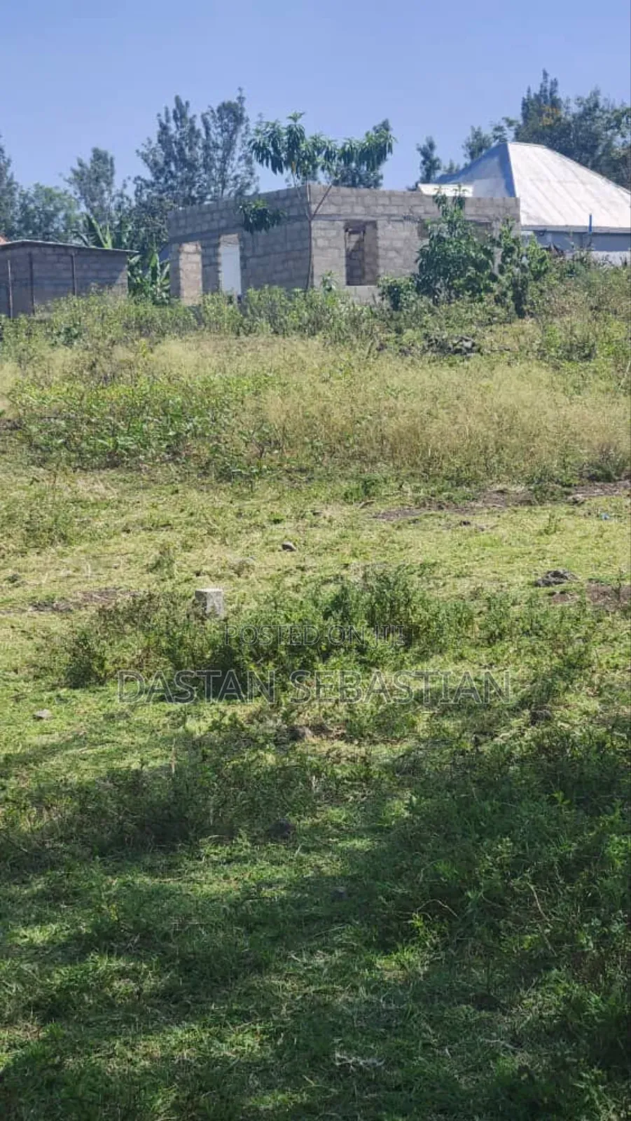 Kisongo Kumenoga
