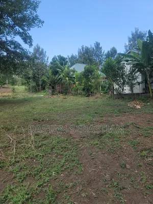 Kikatiti - Arusha Laki 9 Tu