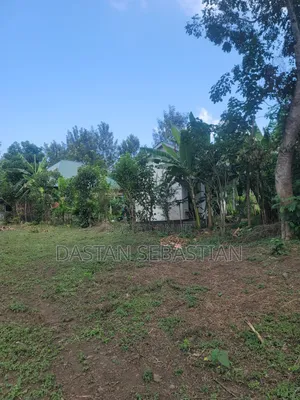 Kikatiti - Arusha Laki 9 Tu