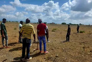 New Project Boma Ng'ombe Near Kia
