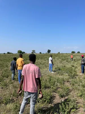 Boma Ng'ombe Kwa Wasomali