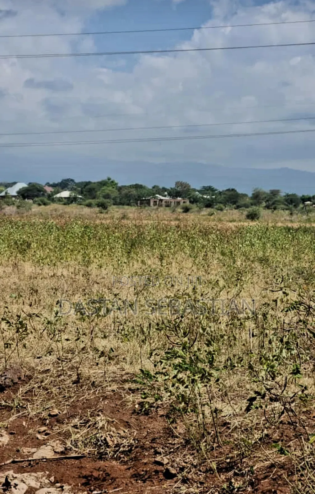 Boma Ng'ombe Ngawaiya Karibu Na Kia