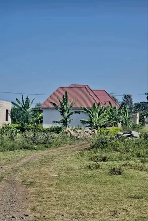 Boma Ng'ombe Uzunguni