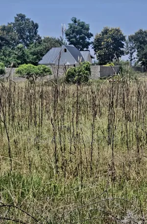 Viwanja Uchira Moshi