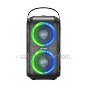 W-King T9-2 - Party Speaker With One Microphone 160w