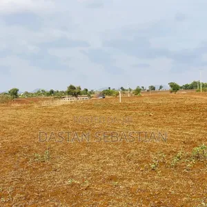 Viwanja Moshi Mjini Mjohoroni