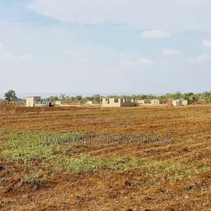 Viwanja Moshi Mjini Mjohoroni