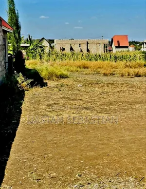 Kisongo Panoni Idara Ya Maji