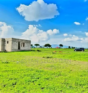 Kikatiti Taifa Gesi