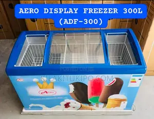 Display Freezer (Showcase) 300l
