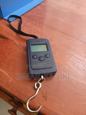 Portable Electronic Scale Kg 50