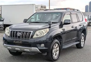 Toyota Land Cruiser Prado 2010 Gray