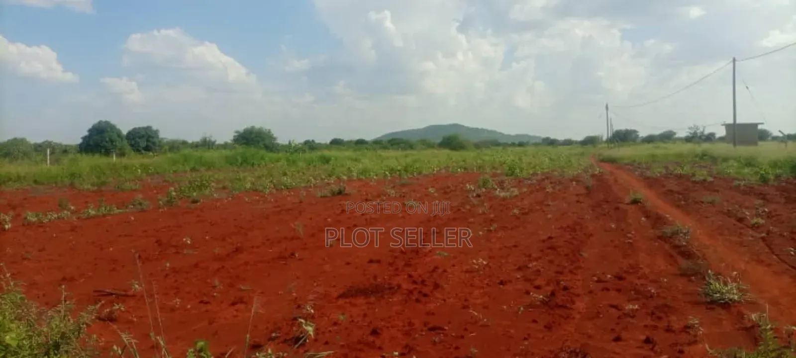 Farmland for Sale
