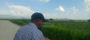 Farmland for Sale