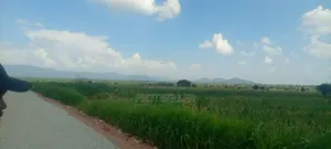 Farmland for Sale