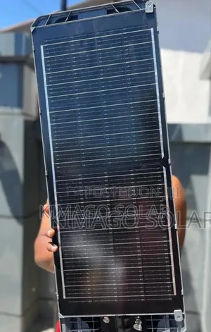 Smart 4g Solar Street Light With Motion Detection Camera