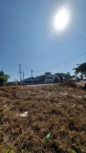 Yard or Garage at Boko Chama