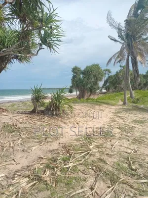 Beachplot Front View for Sale