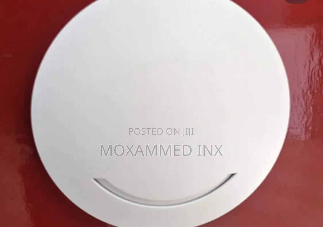 Ceiling Wireless Access Point