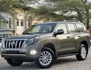 Toyota Land Cruiser Prado 3.0 D-4D (172 Hp) 2014 Gray