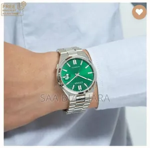 Citizen Classic Watch Silver and Green