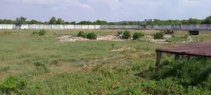 Eneo Linauzwa Kunduchi