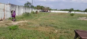 Eneo Linauzwa Kunduchi