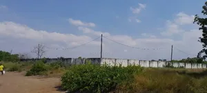 Eneo Linauzwa Kunduchi