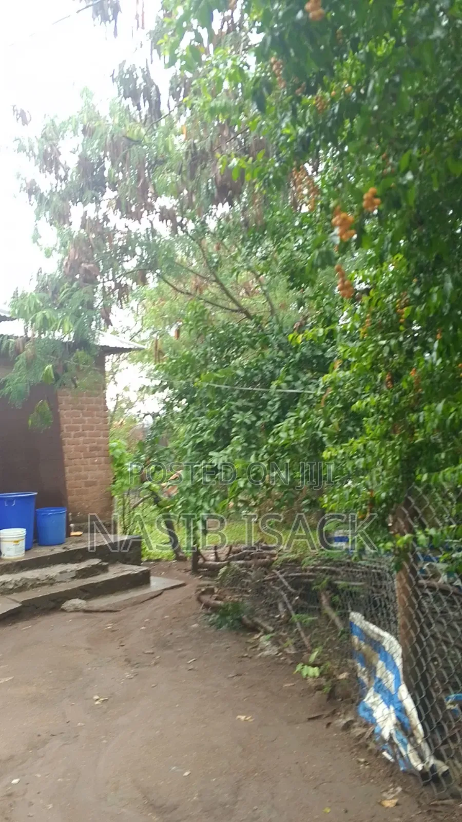 Kiwanja Nyegezi Majengo